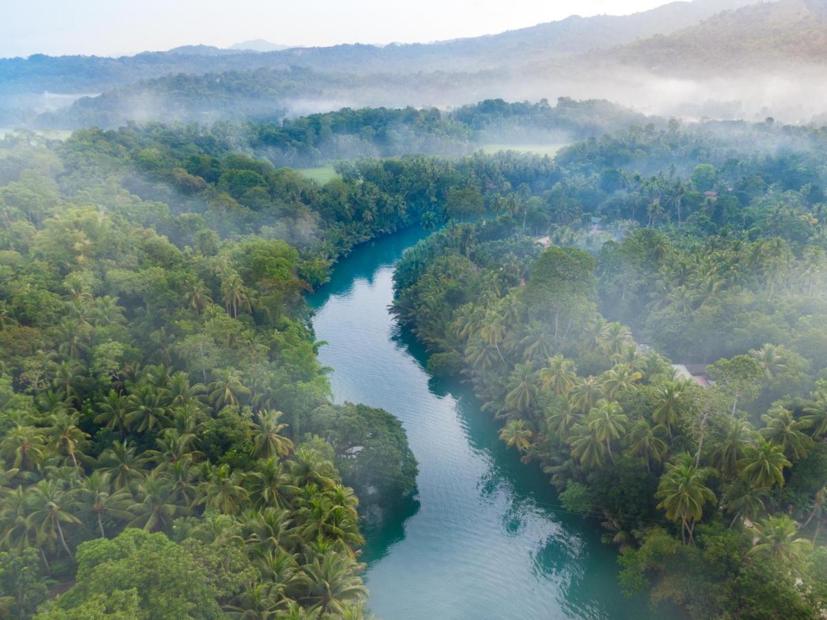 Fox & The Firefly Cottages Loboc Extérieur photo