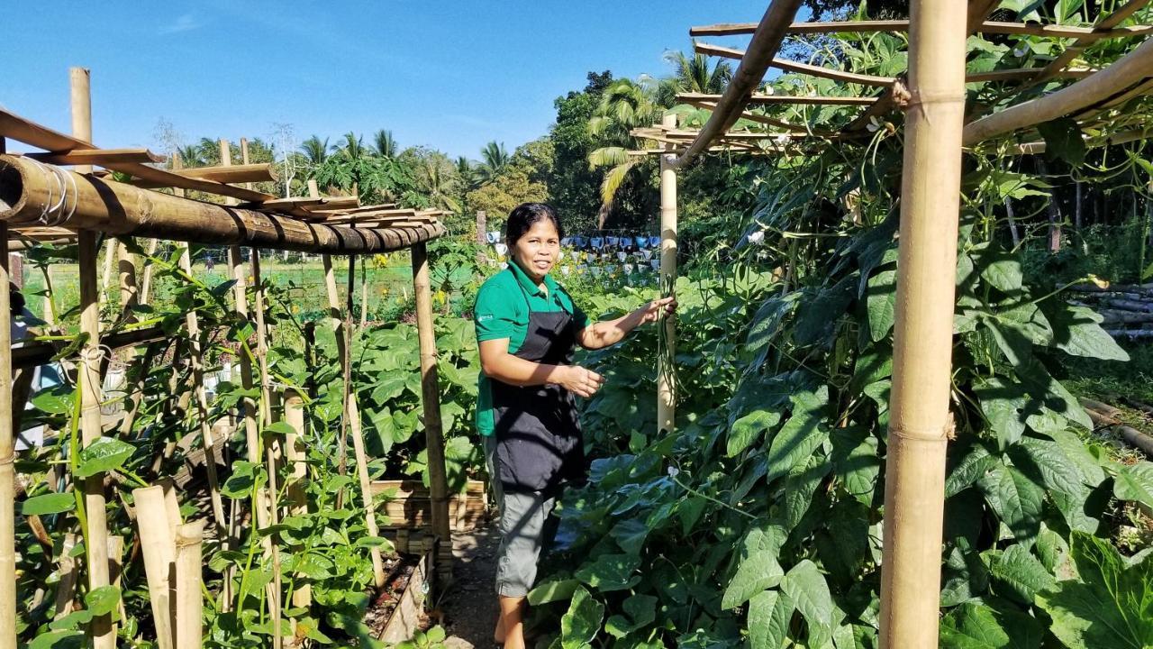 Fox & The Firefly Cottages Loboc Extérieur photo