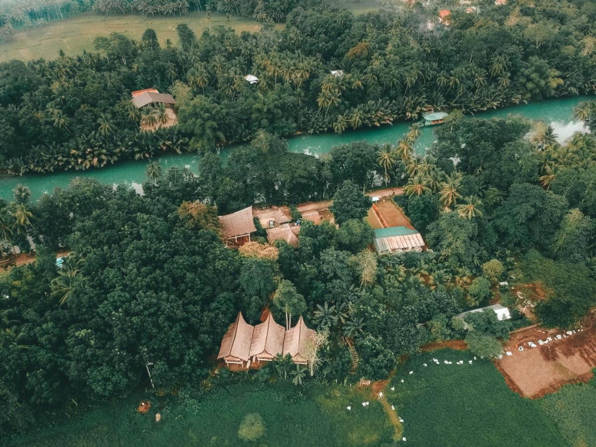 Fox & The Firefly Cottages Loboc Extérieur photo