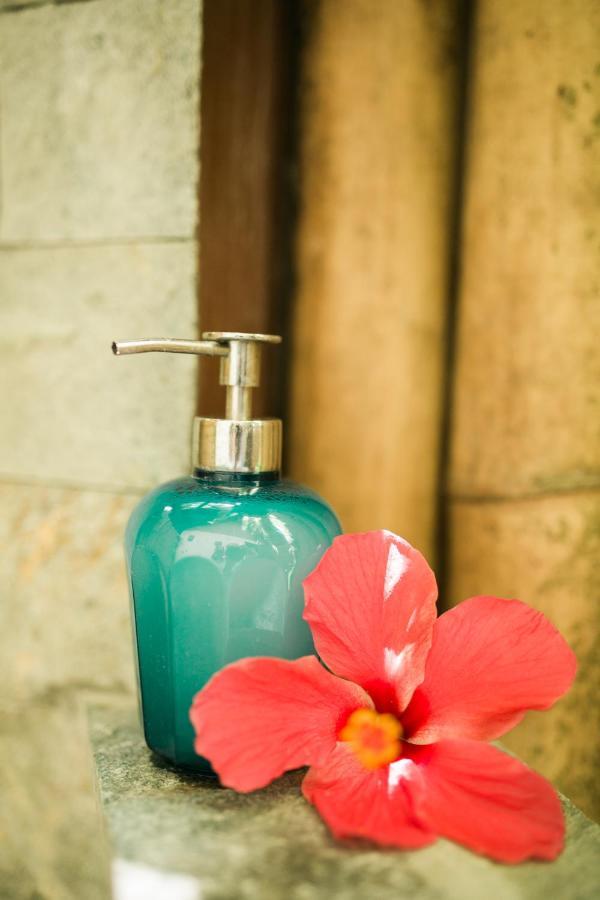 Fox & The Firefly Cottages Loboc Extérieur photo