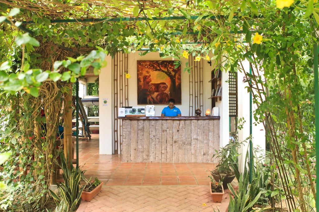 Fox & The Firefly Cottages Loboc Extérieur photo